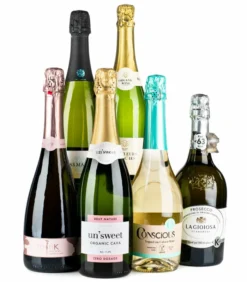 Lifestyle Sparkling Case