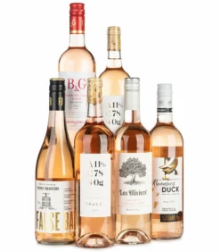 Lifestyle Rosé Case