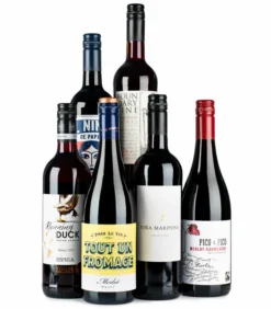 Lifestyle Red Wine Case