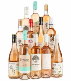 Lifestyle Rose Case Of 12